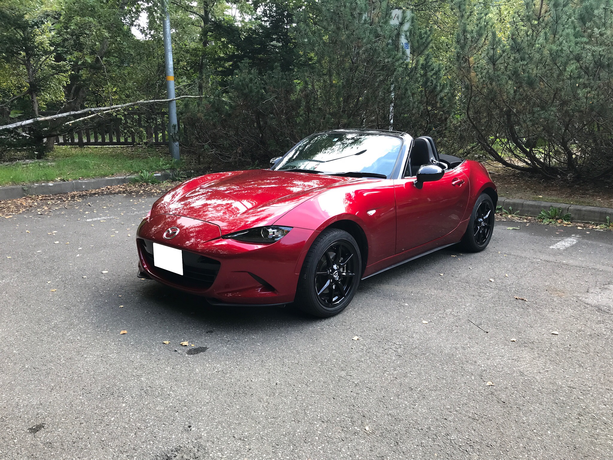 これまで乗ってきた車紹介 北海道でffやfrオープンカーに乗った思い出 ジェノンの物理学と車ブログ